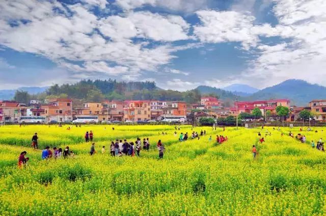 广州隐藏着一个碉楼村,广州有哪些隐藏的景点