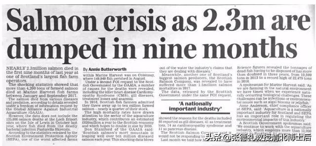 外媒曝光了挪威三文鱼养殖真相吗,挪威三文鱼养殖环境恶劣新闻