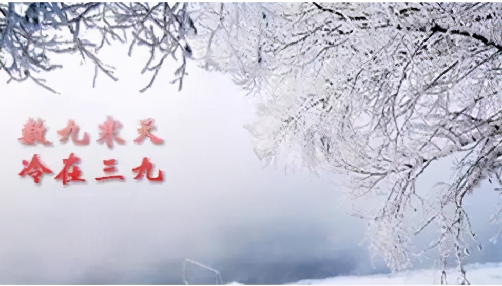 今年冬天啥时开始数九?为啥农村老人说2021年是“盲春年”?