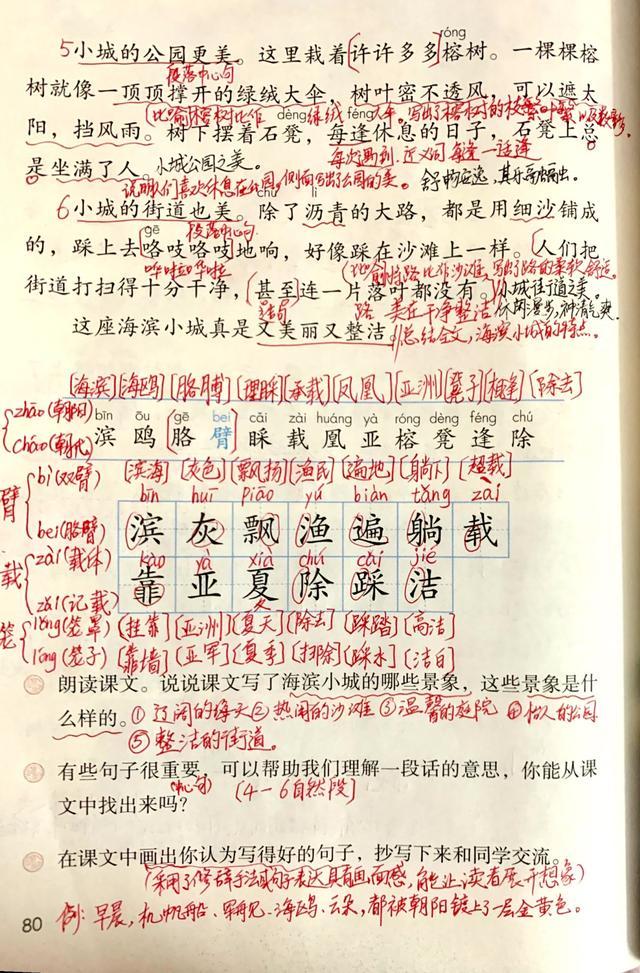 人教版三年级语文海滨小城讲解,三年级语文海滨小城课文讲解重点