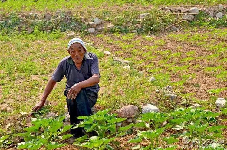保定十八渡航拍,保定十八渡环湖公路