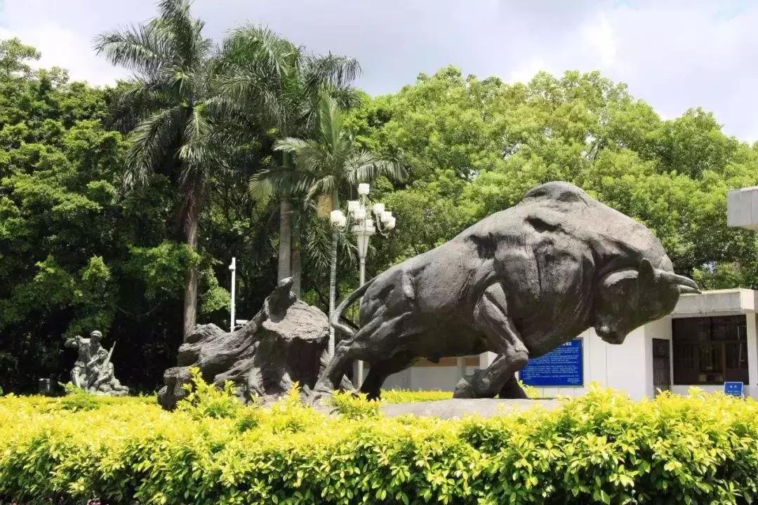 深圳特色文化展示,深圳特色的十道名菜