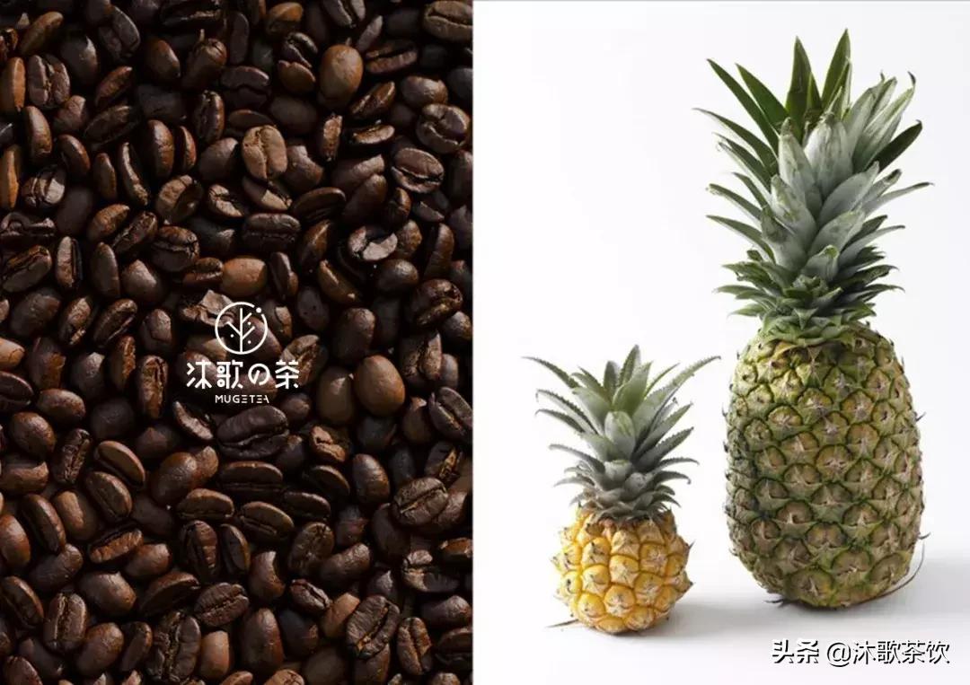 新品速递大全,新品速递