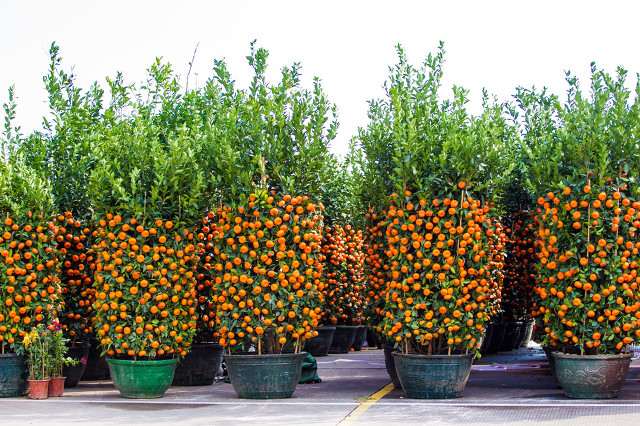 现在干什么小加工赚钱,现在创业做什么加工生意好