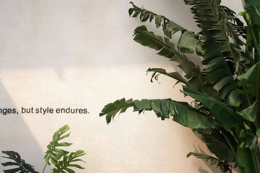 广州免费室内拍照地方推荐,广州拍照免费场景推荐