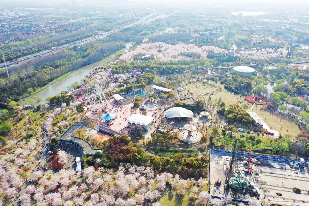 最美的花送给大家共赏,最美的花送给大家观赏