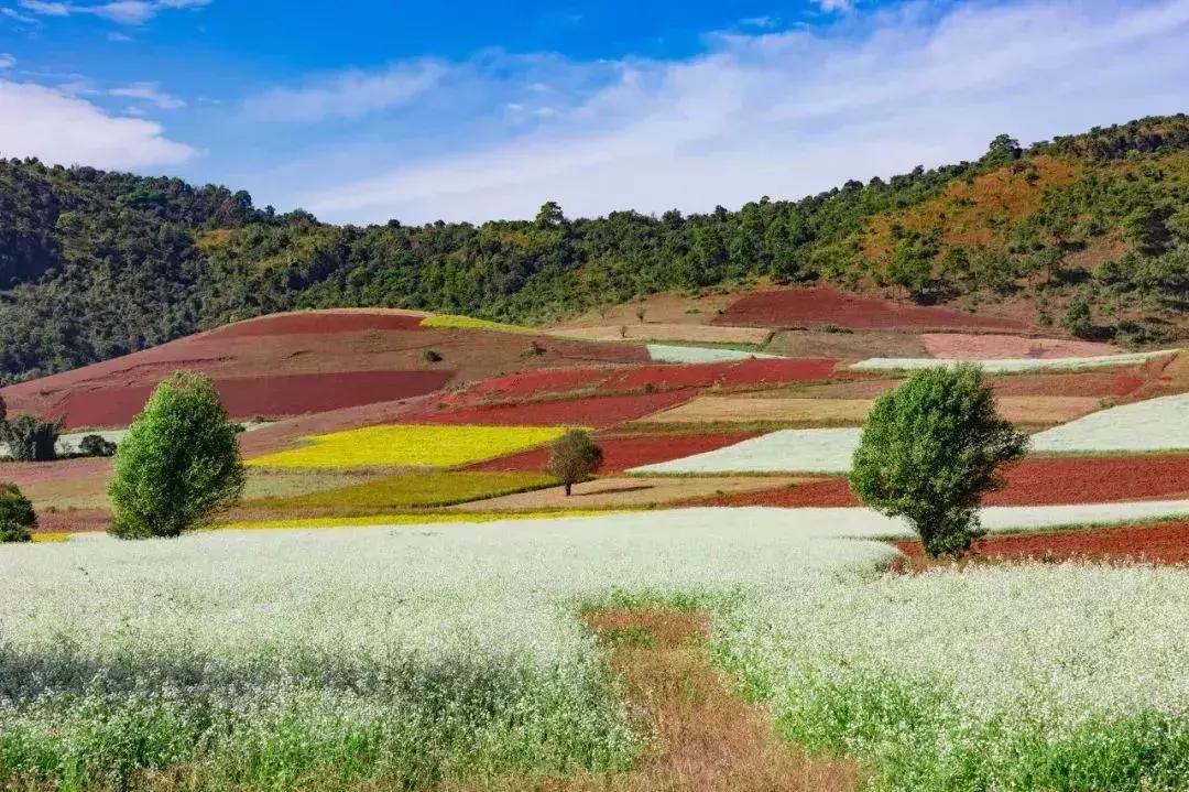 缅甸蒲甘旅游攻略,缅甸攻略