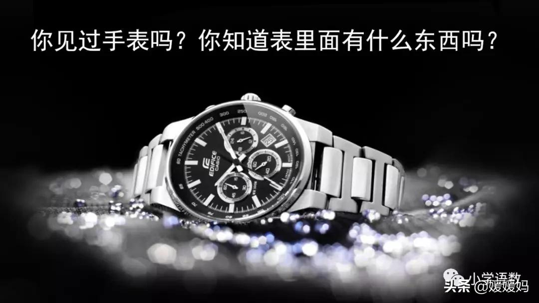 六年级下册语文表里的生物朗诵,六年级下册表里的生物小练笔400字