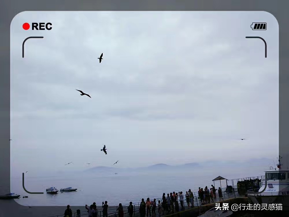 山东威海海驴岛攻略,山东海驴岛旅游攻略