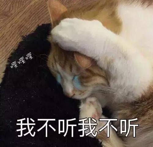 猫咪舔人又咬是什么意思啊,猫咪拿舌头舔主人的手代表什么