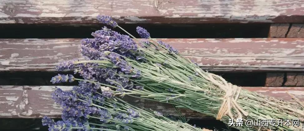 基础差的怎么报专升本,学姐专升本考研逆袭211