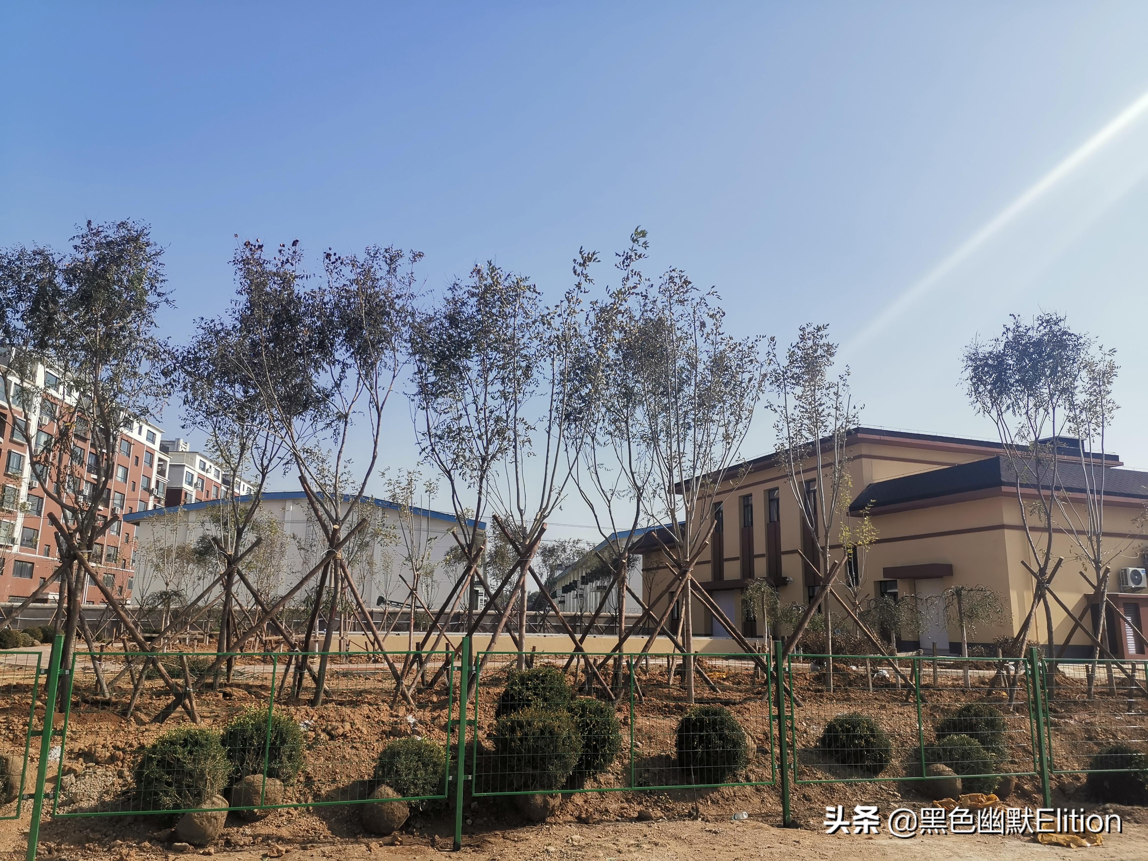 绿化技巧视频,绿化施工安全措施