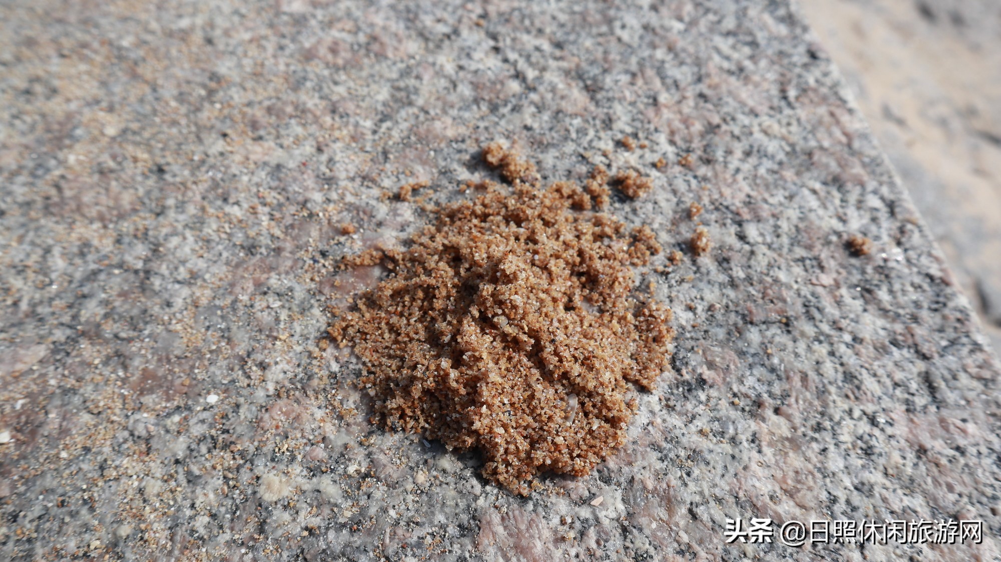 日照最美海滩,山东日照沙滩排行榜