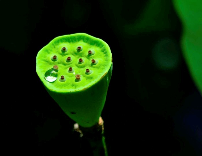 励志人生感悟正能量句子经典,正能量励志激情经典语录