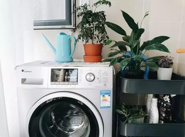 买洗衣机要买上排水还是下排水,洗衣机上排水还是下排水怎么分辨