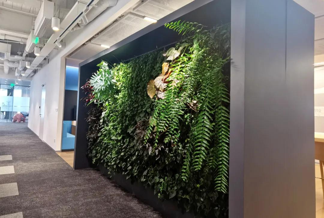 办公室植物墙装修,办公室装修什么墙最好