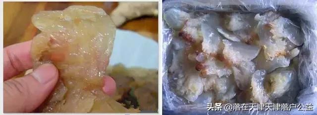 开海了怎么选海鲜,开海了囤点什么海鲜合适