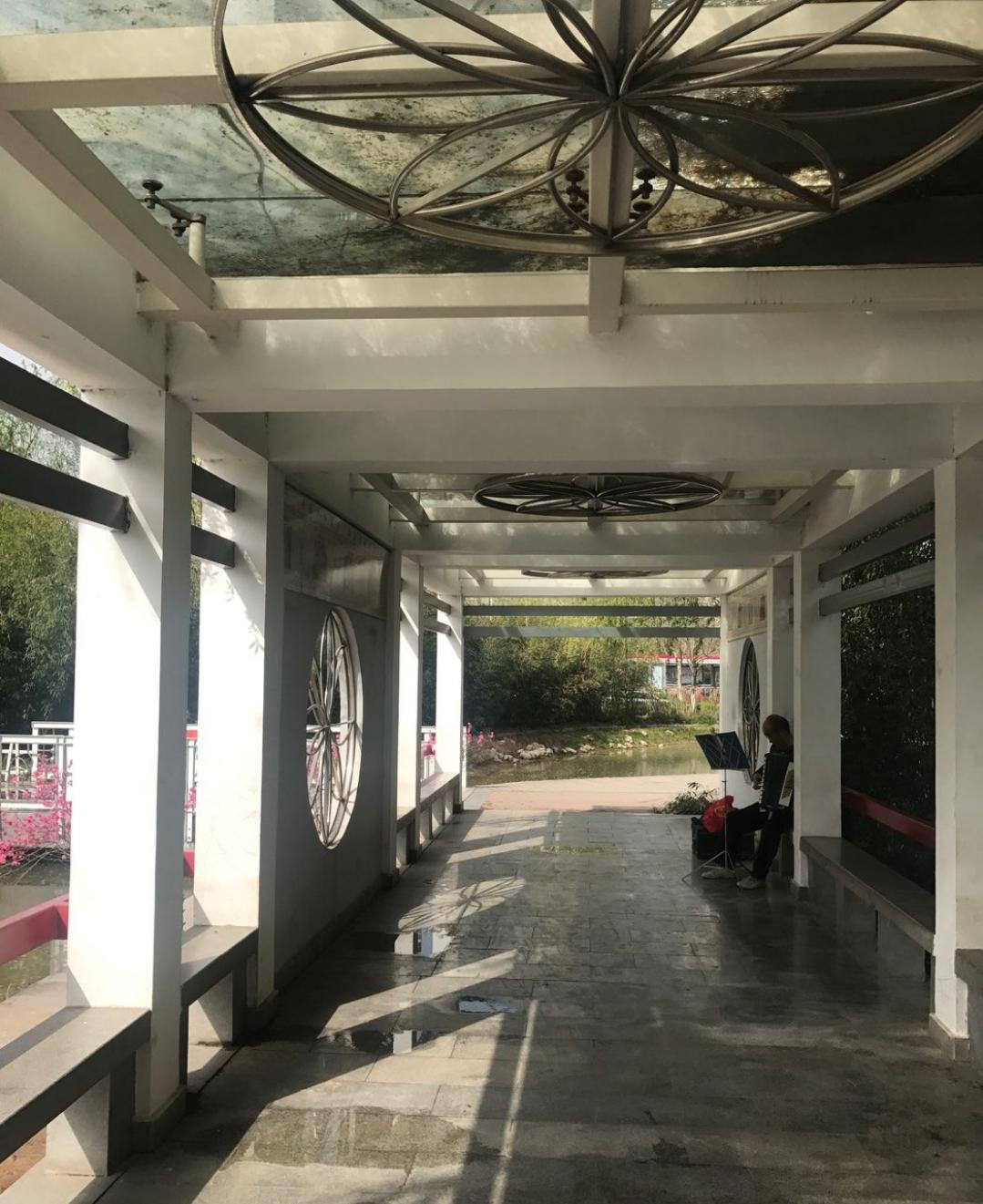 映日荷花别样红湖中美景,莲叶无穷碧映日荷花别样红美景