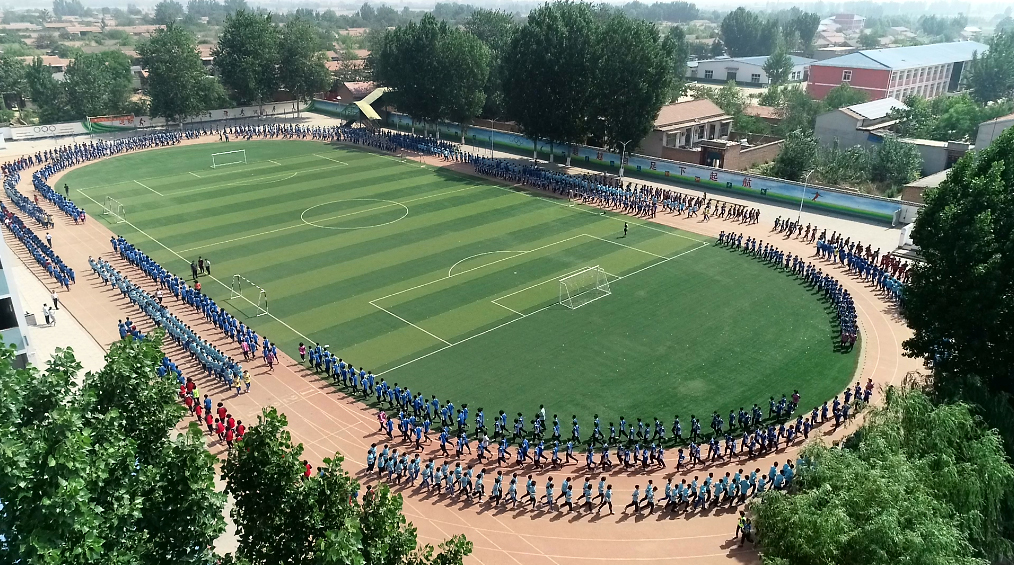 礼仪感恩教育活动记录,礼仪操感恩操