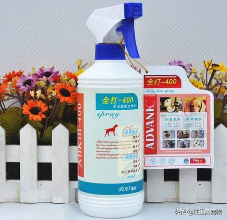 宠物生病可以用什么药,宠物生病必备药品有哪些