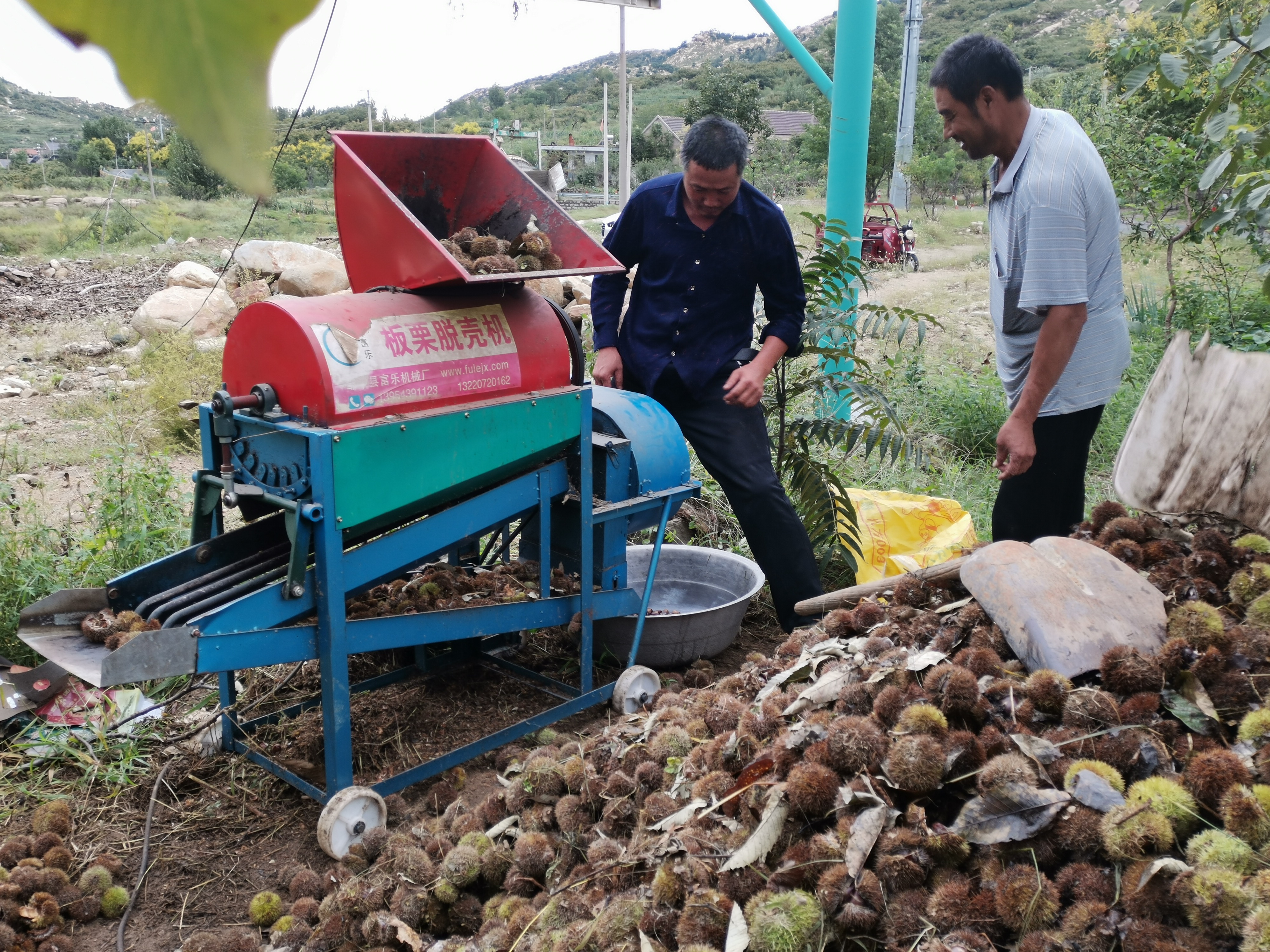 高效生态农业规模化,高效生态农业项目简介