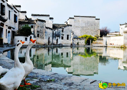 安徽四大古镇城父古镇,安徽涡阳十大古镇