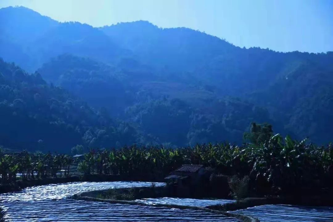 德宏州梁河县十大特产介绍,云南梁河县特产