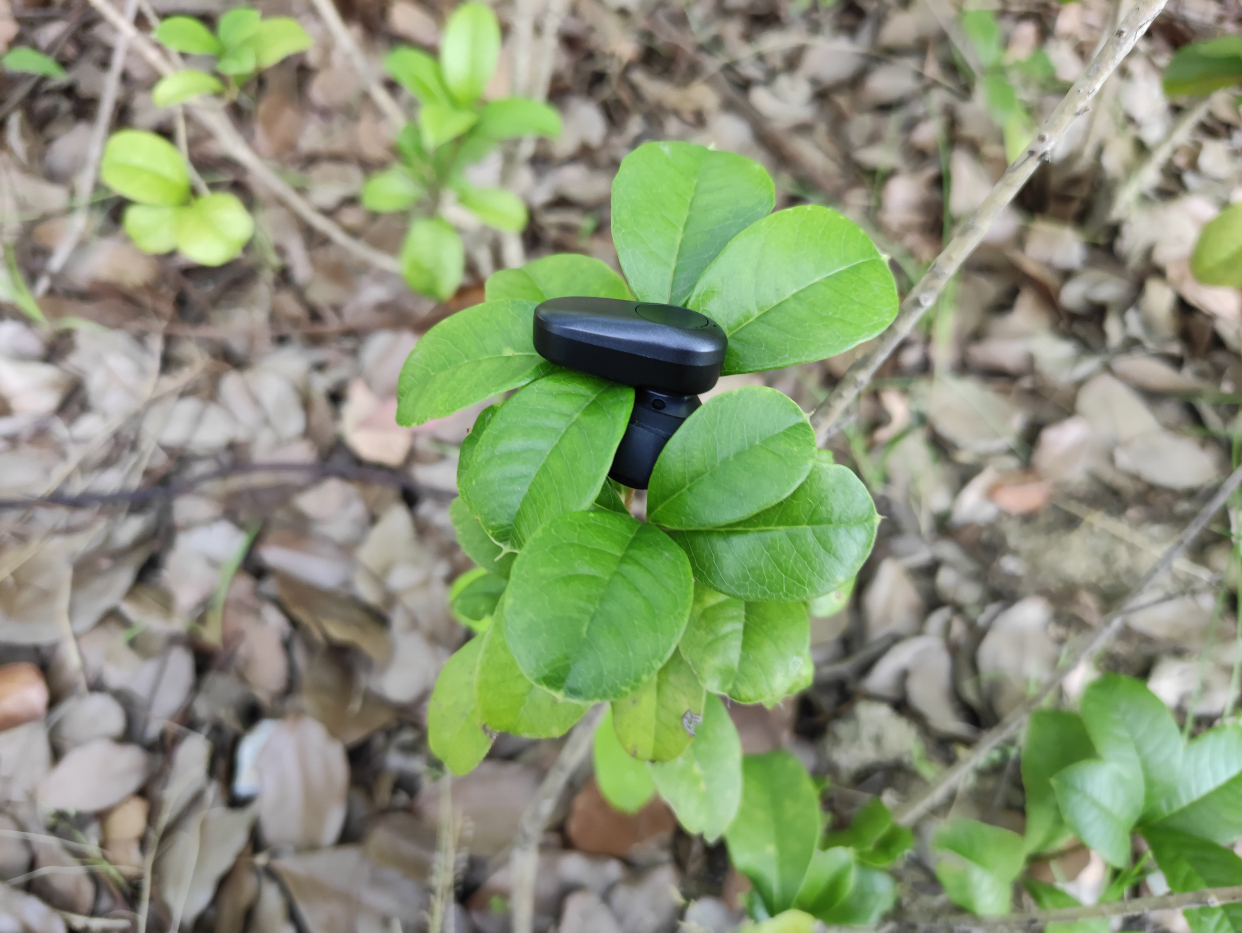 诺基亚p3802价格,诺基亚p3802a使用教程