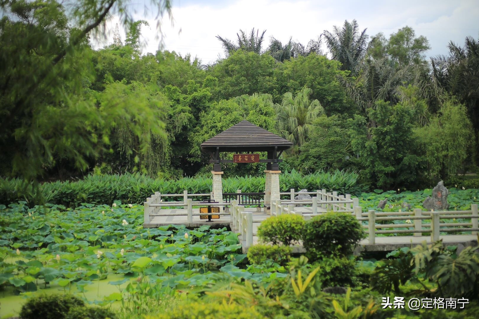 南宁狮山公园晚上开放时间,南宁狮山公园近期有什么玩