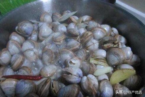 西施舌的学名叫什么,西施舌名字的由来