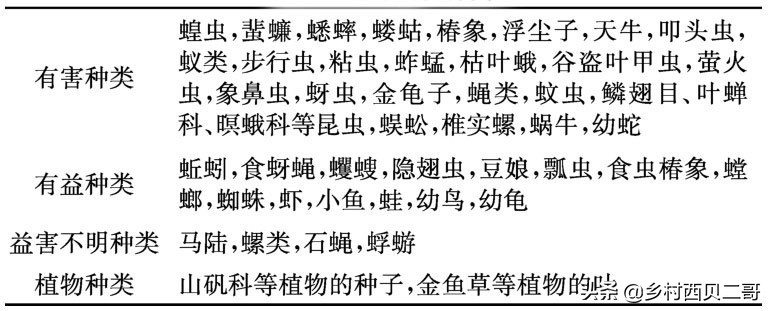 农业部对人工养殖牛蛙的最新规定,养殖牛蛙跟公司合作模式