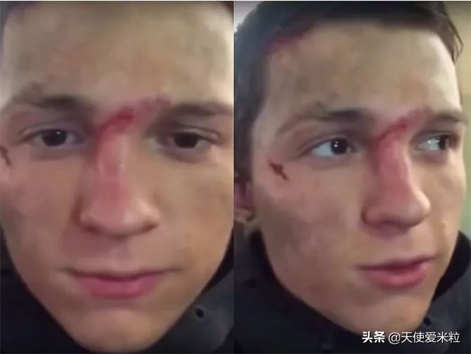 赞达亚和荷兰弟的男友力,荷兰弟的男友力