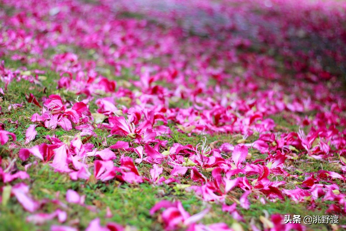 上联一日情深求下联,上联一寸相思一寸泪如何对下联