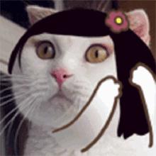 健身小白新手入门一周计划健身房,健身入门基础知识视频