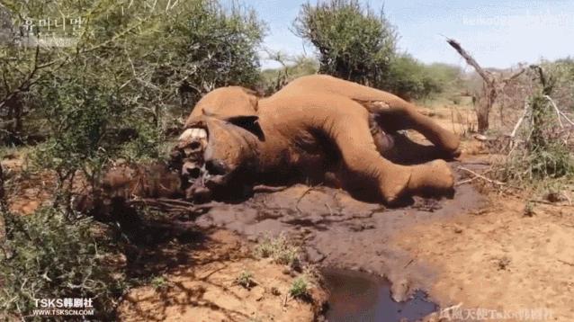 被已婚男欺骗致怀孕一尸两命,女孩儿被骗怀孕最后被杀害