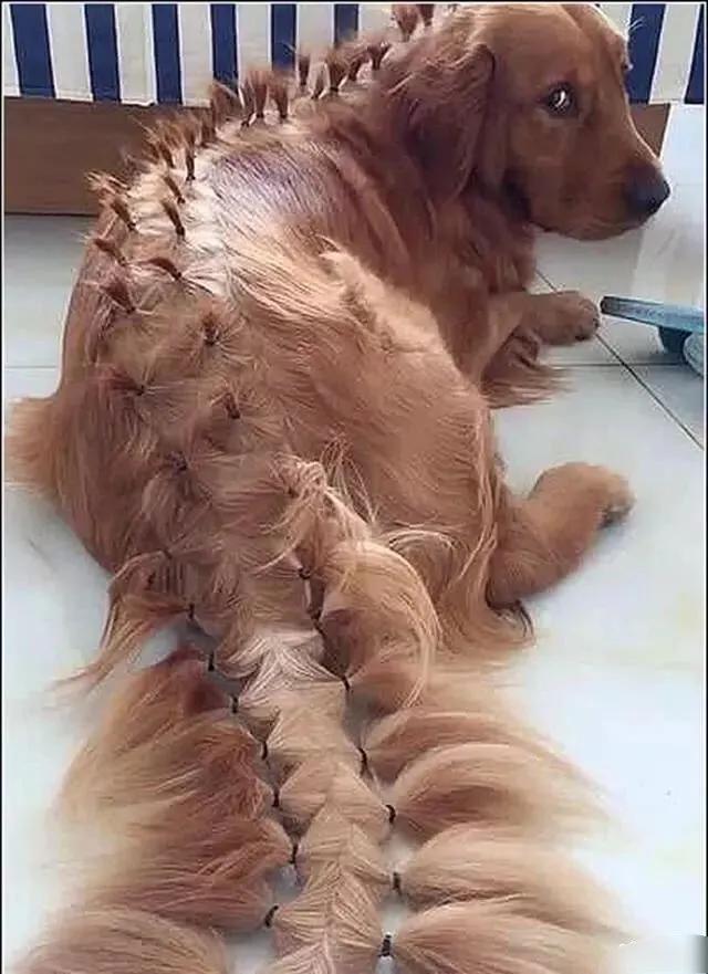 泰国cosplay小哥在泰国出名吗,泰国小哥新cosplay