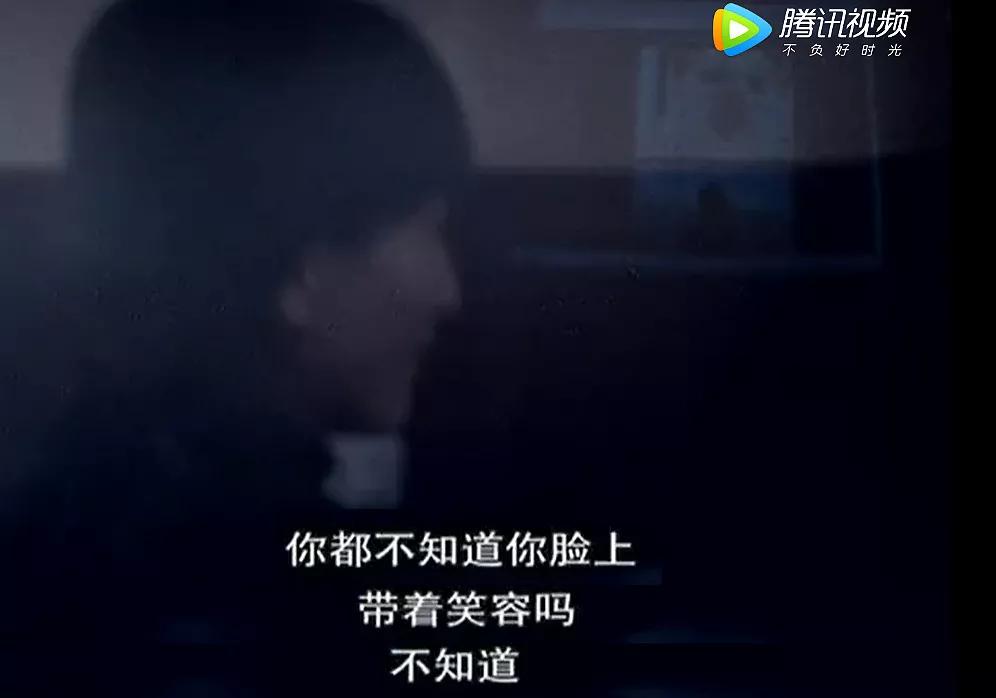 大学生杀死流浪猫,大学生杀流浪猫