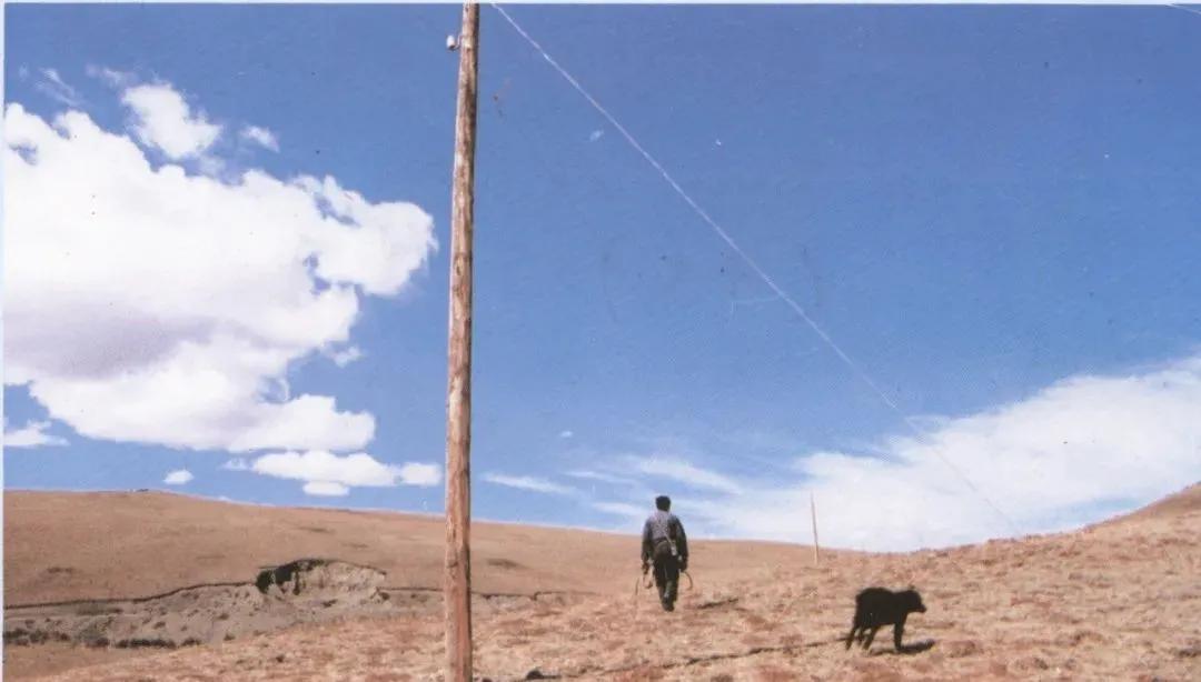 爱国电影我和我的父辈,我和我的父辈完整版经典电影