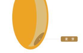 法国粉和日本粉的区别,日式强力粉与日式法式粉区别