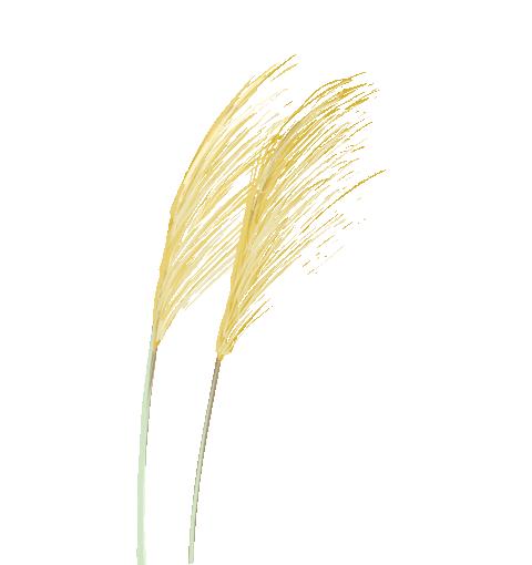 节育环保质期过了会有什么症状,节育环的保质期是多长时间