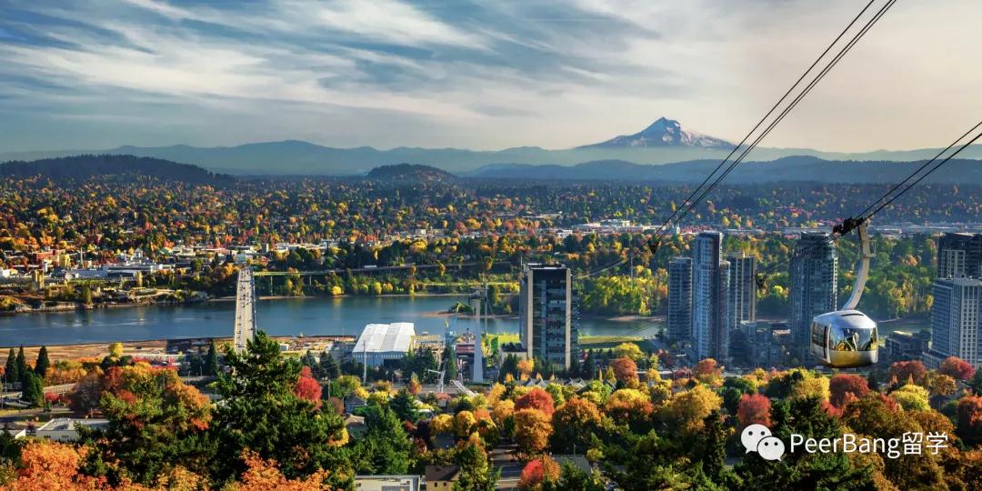 缇庡浗椤跺皷澶у涓轰粈涔堥偅涔堝,缇庡浗鍗氬+鍚噾閲忔渶楂樼殑瀛︽牎