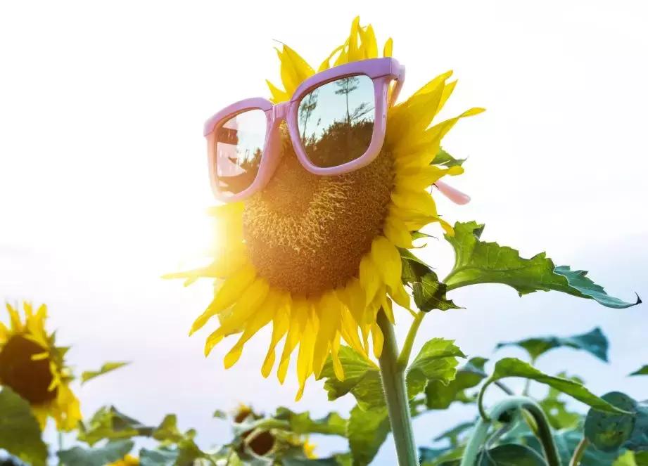 这么热的天出门记得带点孜然,最近出门要注意些什么