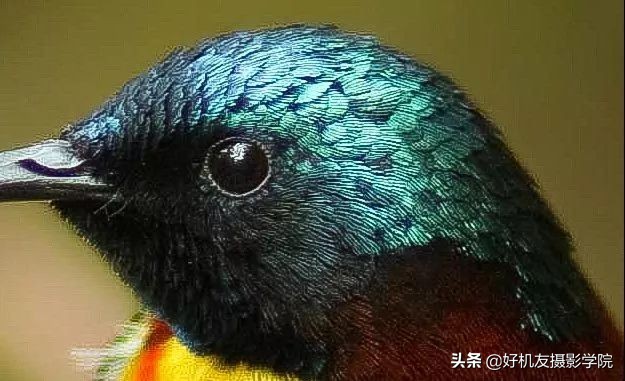 照片灰蒙蒙的怎么拍,照片灰蒙蒙的怎么变清新