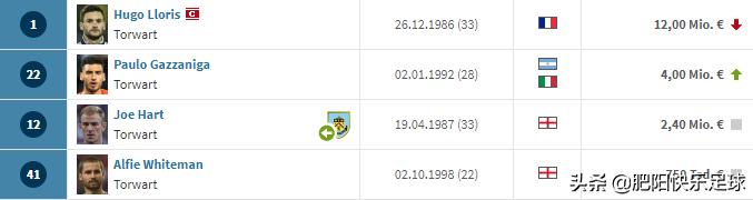 欧冠足球俱乐部身价排名,欧洲足球联赛身价查询