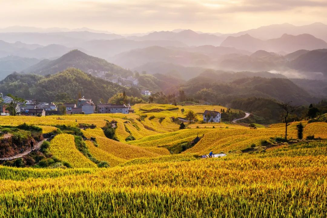 天台山佛雕,浙江天台佛像
