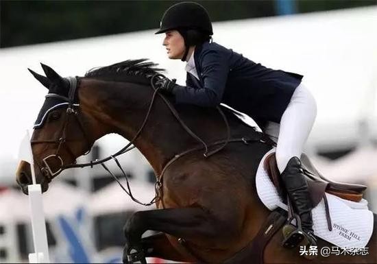 上马前你不得不知道的马术知识,上马前必备的马术知识