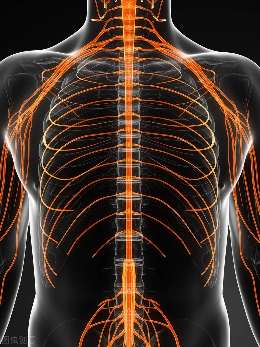 肋间神经痛多久自愈,肋间神经痛看哪个科