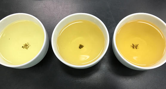 福鼎白茶品牌哪个最好,福鼎白茶哪款品牌最好最正宗