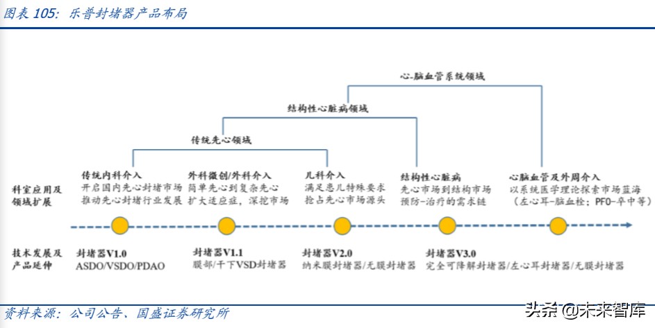 乐普医疗心血管专科医院,乐普医疗的战略