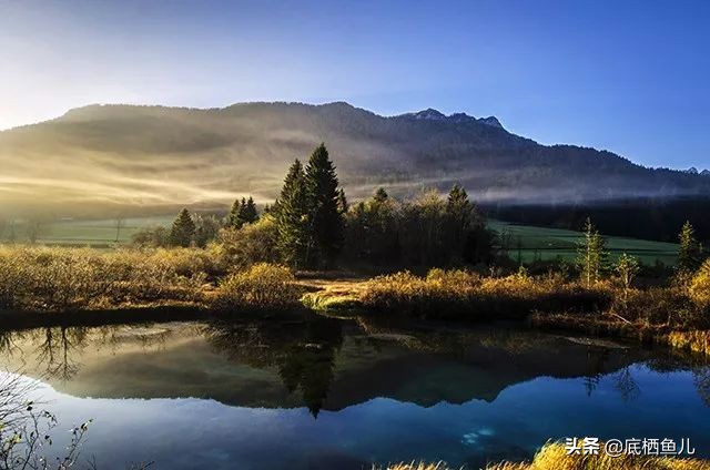 三湖慈鲷萨伊蓝六间灯光,三湖慈鲷萨伊六间